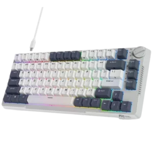 Mechaninė klaviatūra RK H81 kaina ir informacija | Žaidimų klaviatūros | GGWP.lt